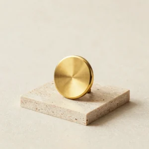Disc Cabinet Knob